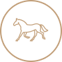 icona-cavallo